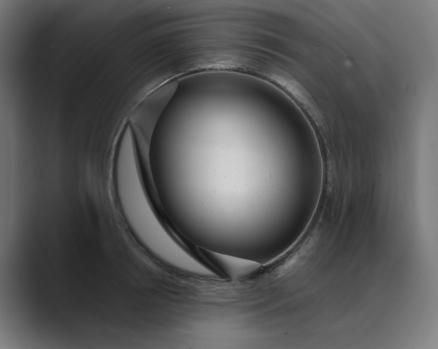 X0000089440850200706291424