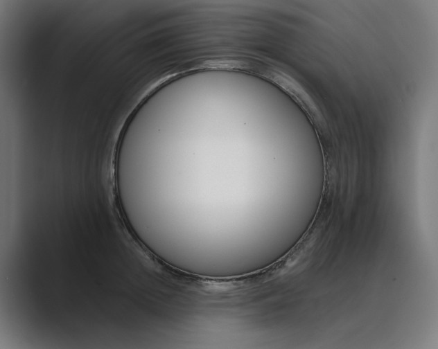 X0000089440852200706291424