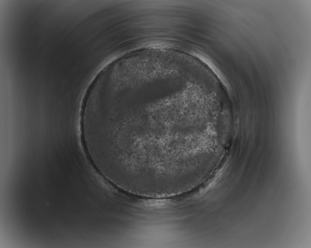 X0000089440853200706291424