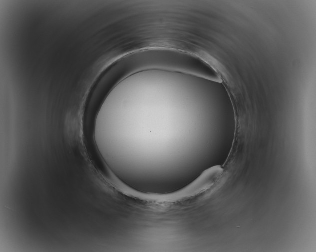 X0000089440854200706291424