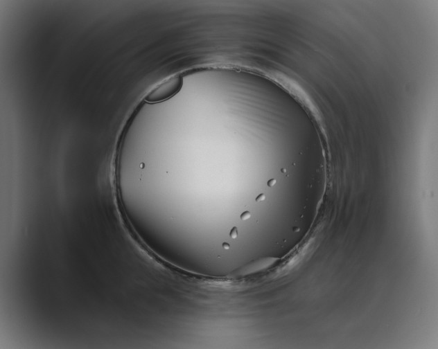 X0000089440855200706291424