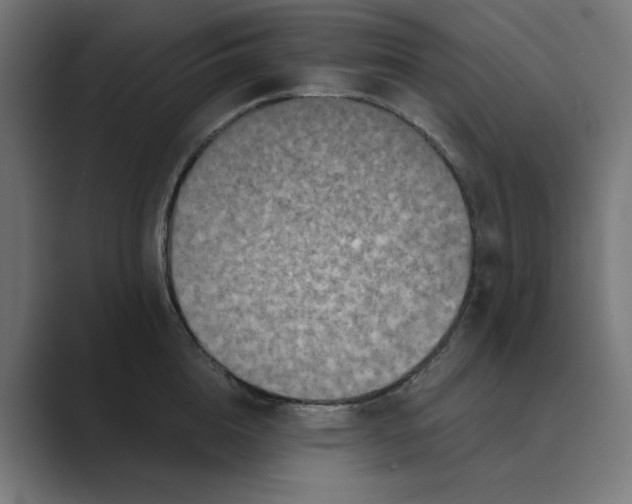 X0000089440856200706291424