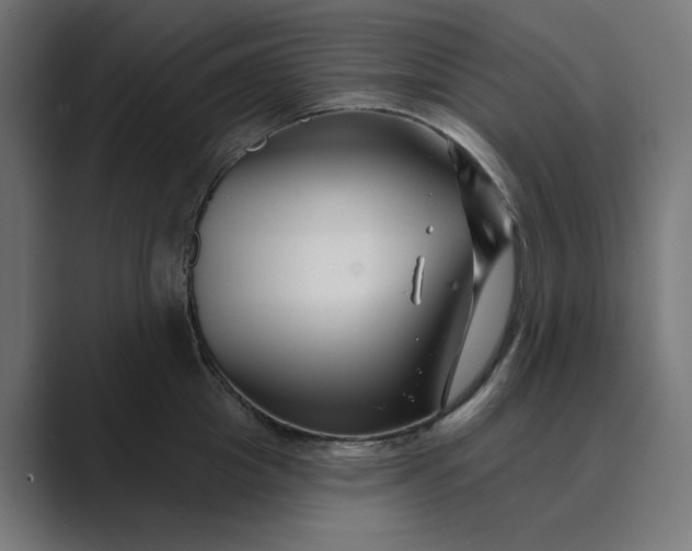 X0000089440857200706291424