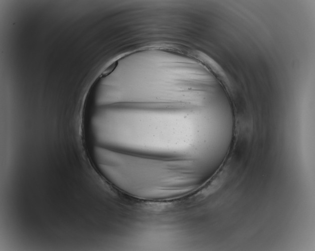 X0000089440860200706291424