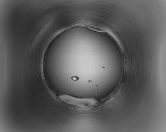 X0000089440861200706291424