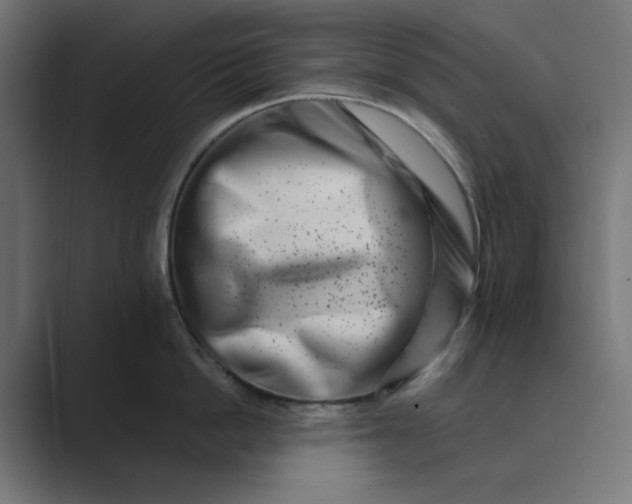 X0000089440862200706291424