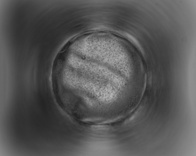 X0000089440863200706291424