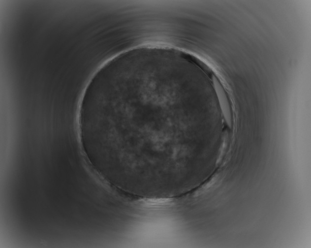 X0000089440864200706291424