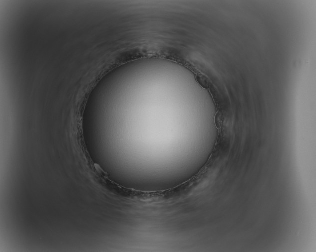 X0000089440865200706291423