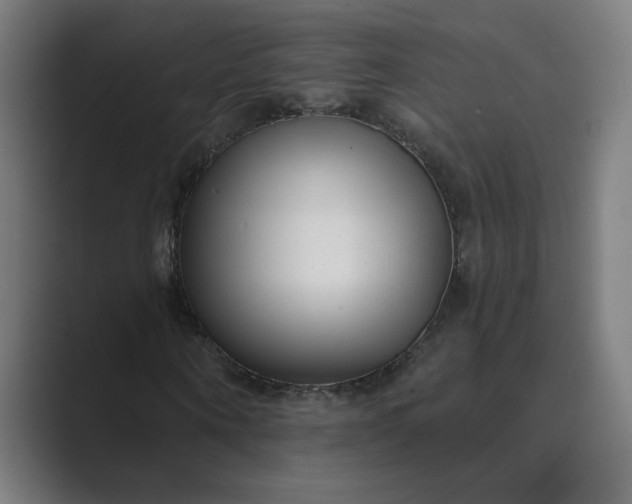 X0000089440866200706291423