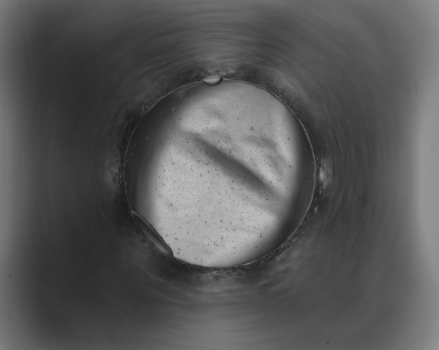 X0000089440867200706291423