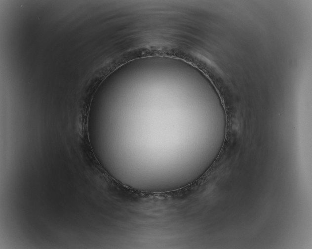 X0000089440869200706291423