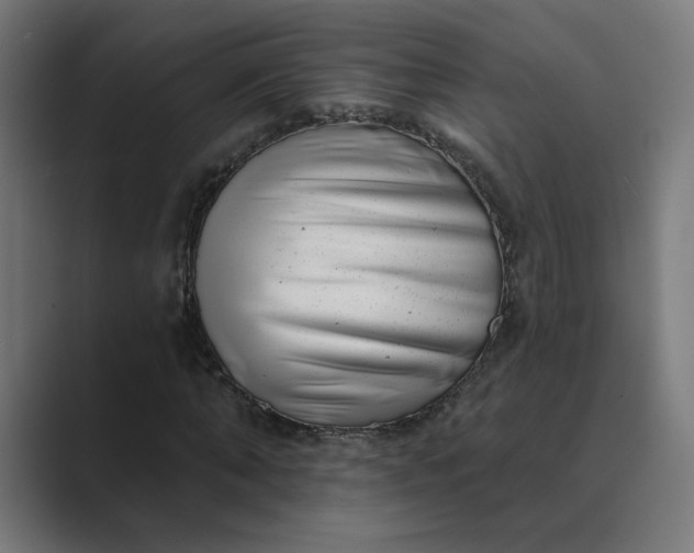 X0000089440870200706291423