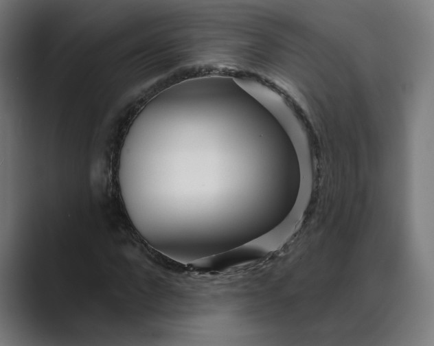 X0000089440872200706291423