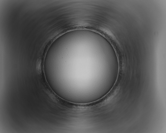 X0000089440873200706291423