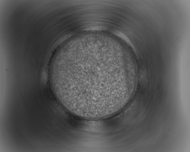 X0000089440874200706291423