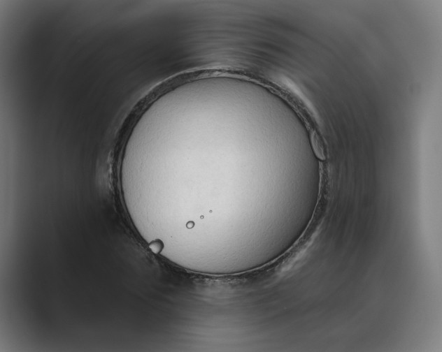 X0000089440875200706291423