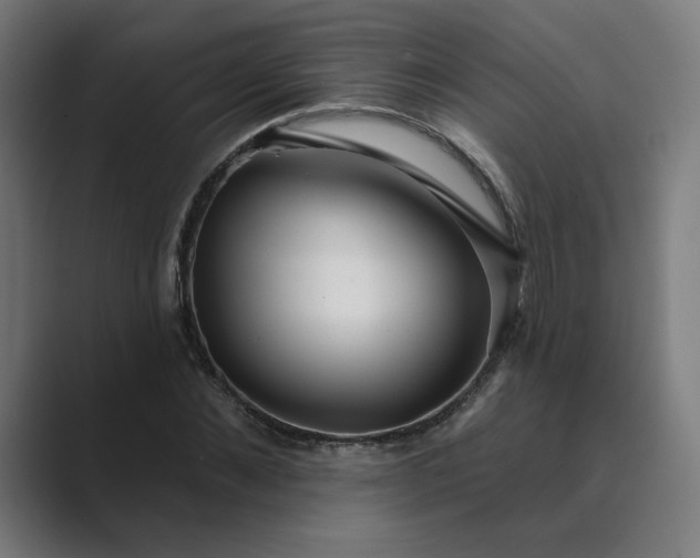 X0000089440876200706291423