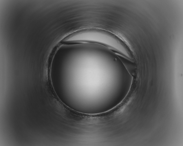 X0000089440877200706291423