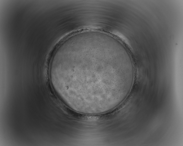 X0000089440878200706291423