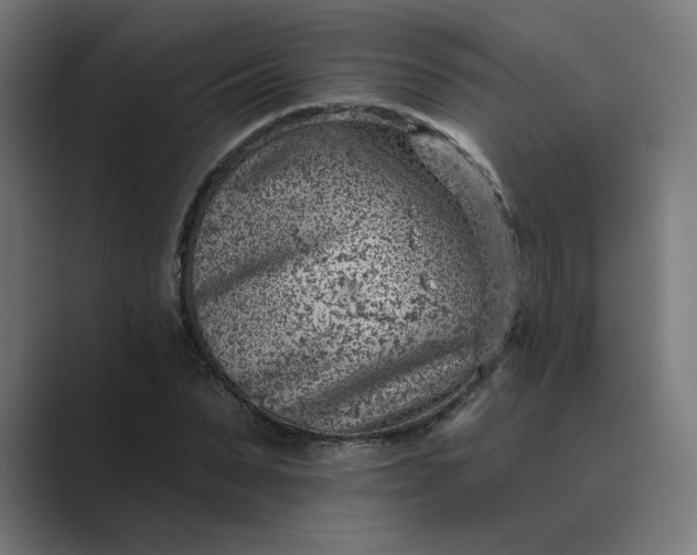 X0000089440879200706291423