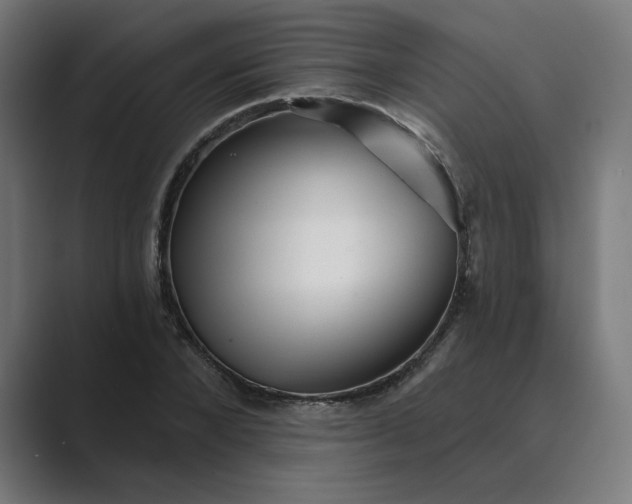 X0000089440880200706291423