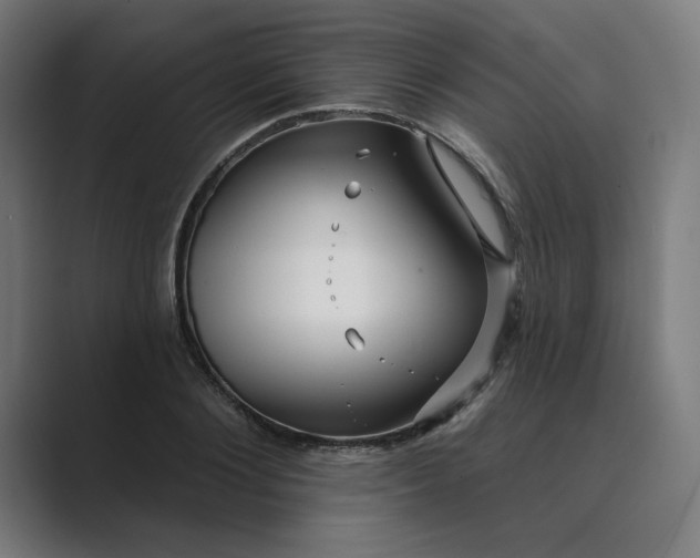 X0000089440884200706291423