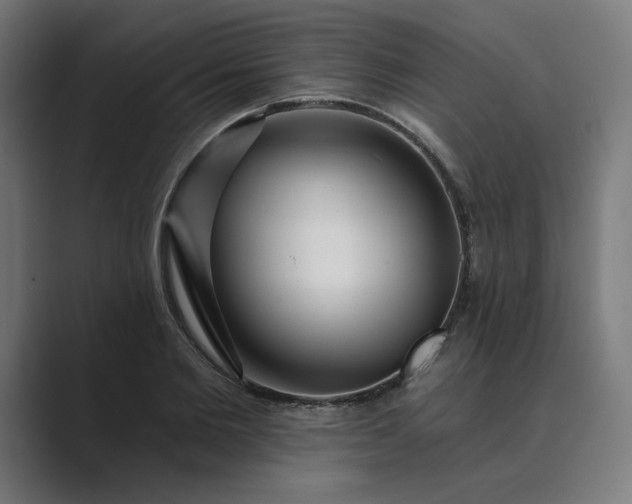 X0000089440885200706291423