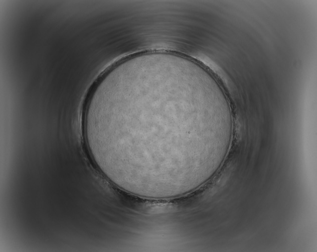 X0000089440886200706291423