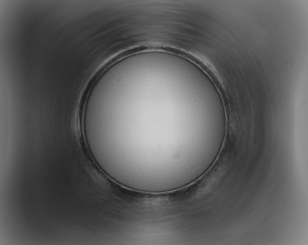 X0000089440887200706291423