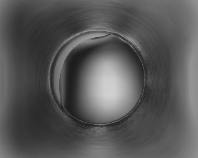 X0000089440888200706291423