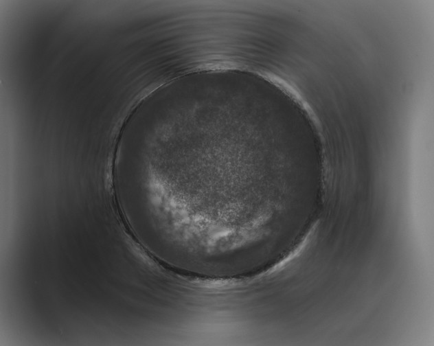 X0000089440889200706291423