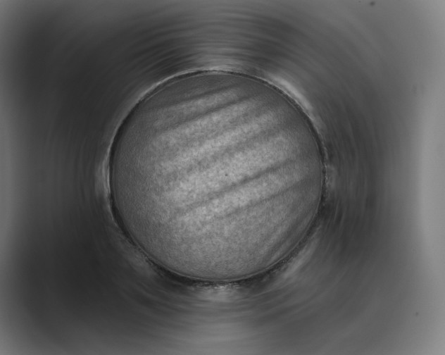 X0000089440891200706291423