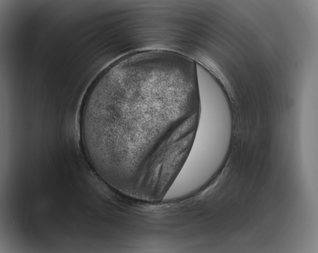 X0000089440892200706291423