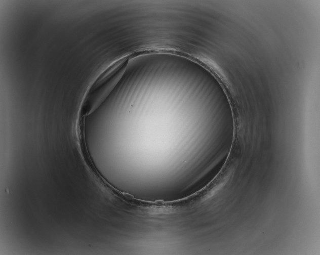 X0000089440893200706291423