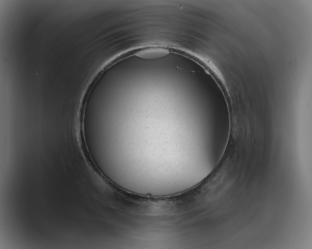 X0000089440895200706291423