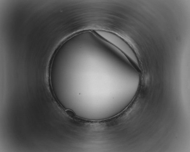 X0000089440896200706291423