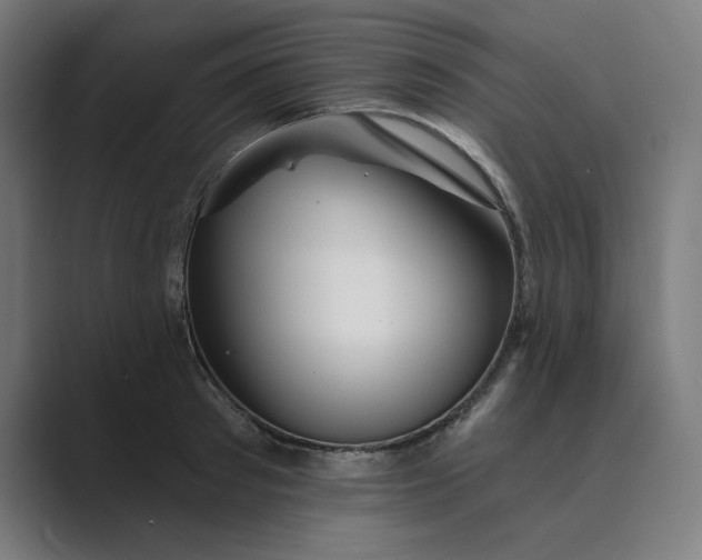 X0000089440897200706291423