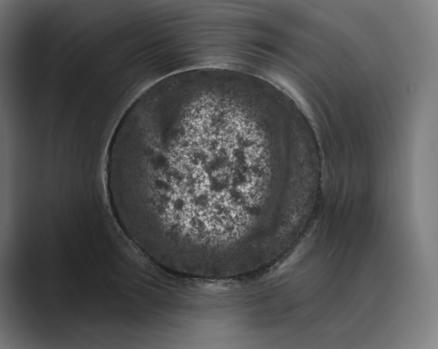 X0000089440899200706291423