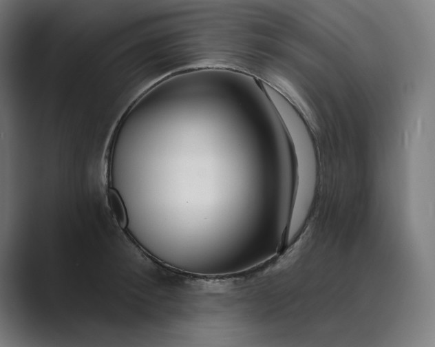 X0000089440900200706291423