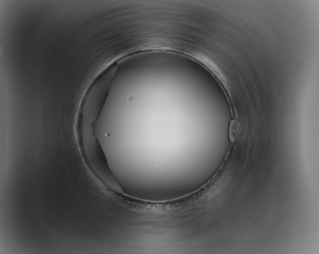 X0000089440901200706291423