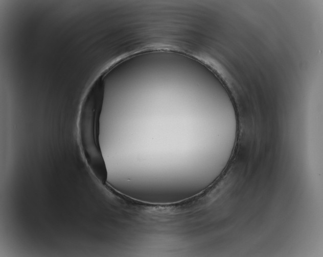 X0000089440902200706291423