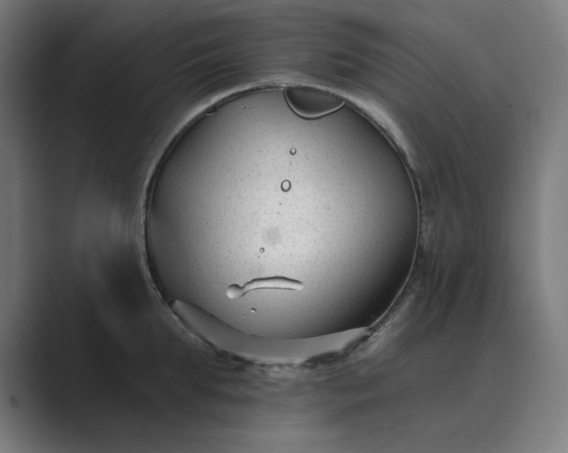 X0000089440903200706291423