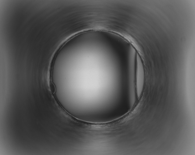 X0000089440904200706291423