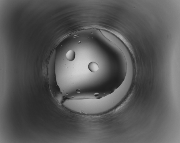 X0000089440905200706291423