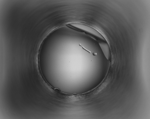 X0000089440906200706291423