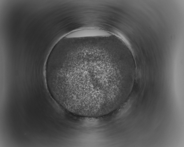 X0000089440907200706291423