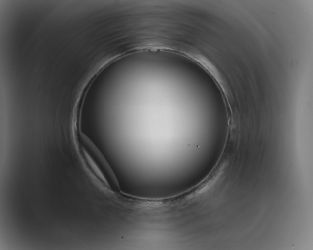 X0000089440909200706291423