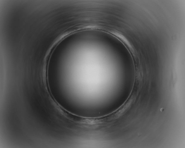 X0000089440910200706291423