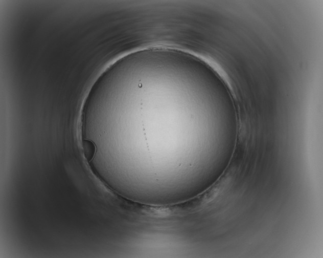 X0000089440911200706291423